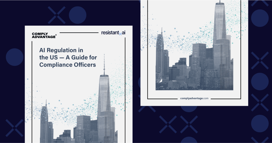 Guide to AI Regulation in the US
