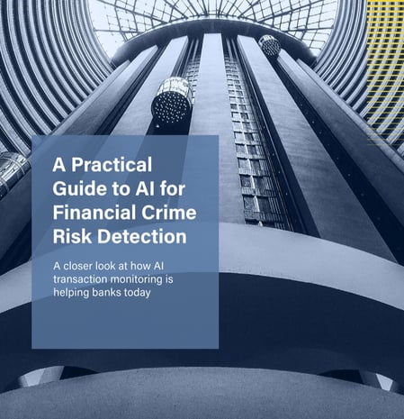 A Practical Guide to AI for Financial Crime Risk Detection