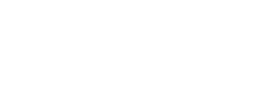 lynk capital logo white