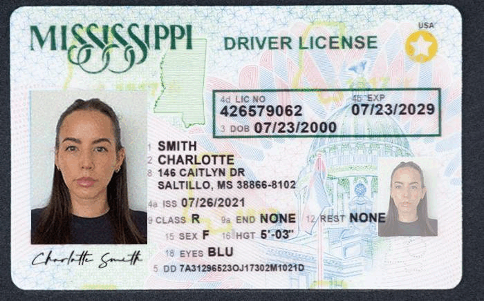 These are not "real" fake IDs that we have detected; they are recreations based on the fraud techniques described above and are for illustrative purposes only.