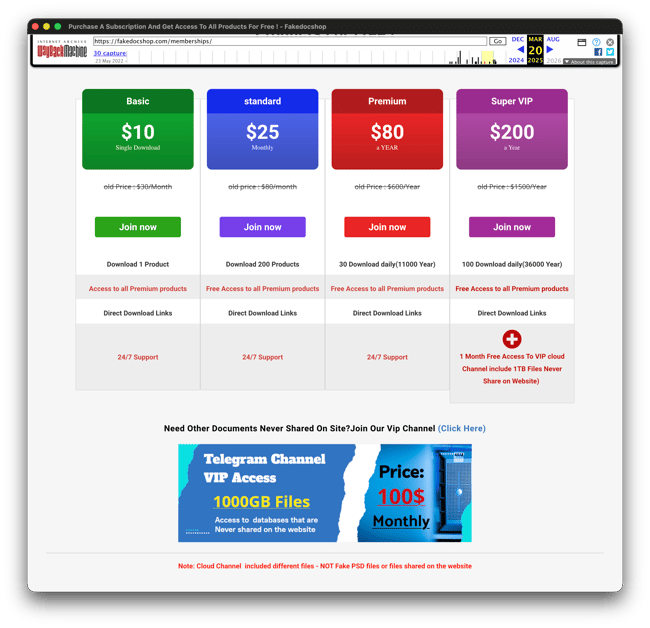 TI_ARTICLE_VIP_channel_farm_website_first_mention_2025_03