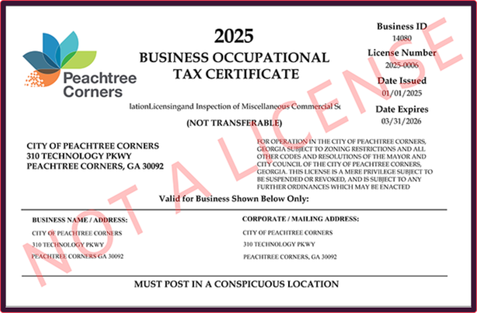 fake georgia business license example