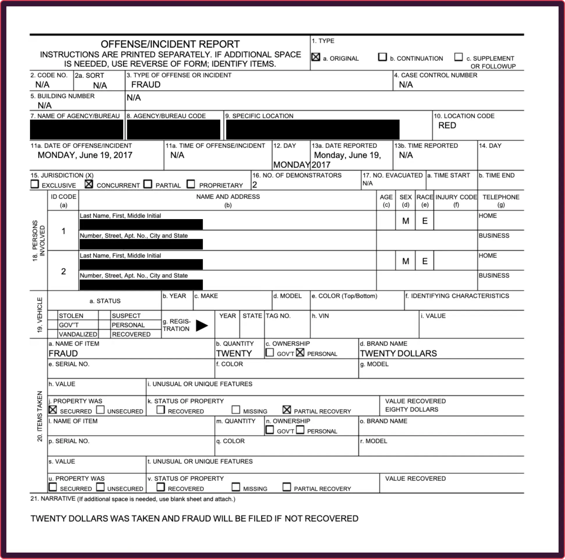 fake police report example