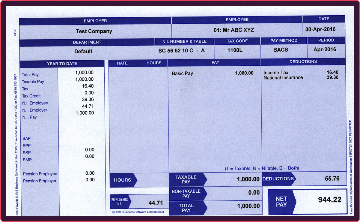 fake pay stub example