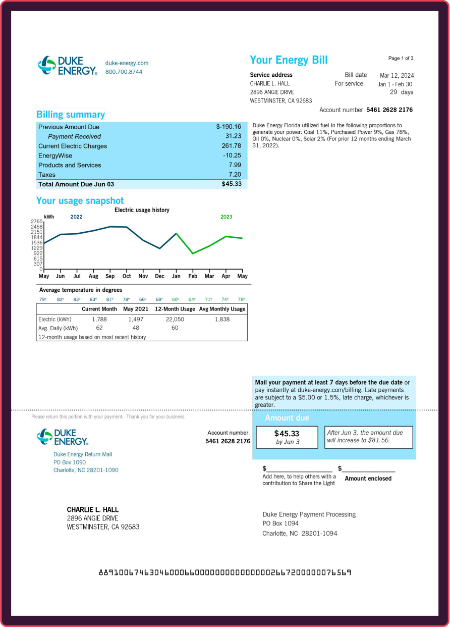 utility bill example