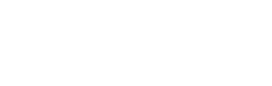 lynk capital logo white